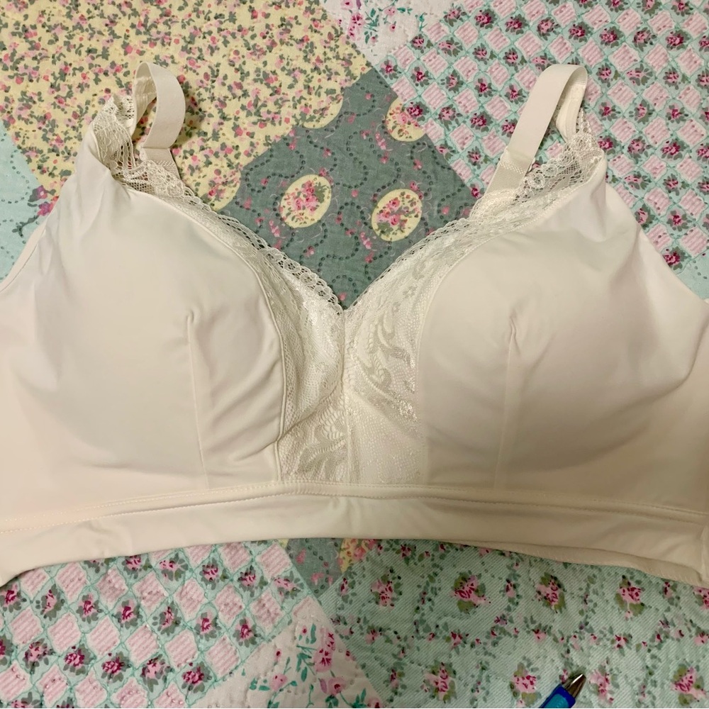 Rhonda Shear bra